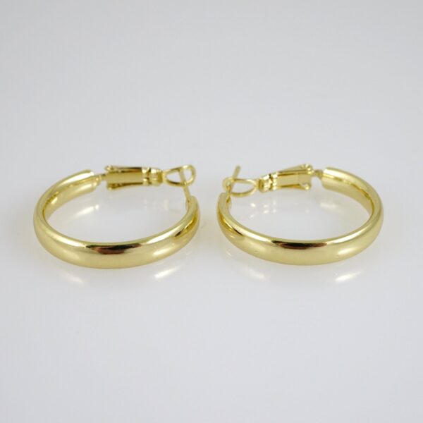 E2792 Earrings - Aretes - Zircon Stone - 14K Real Color