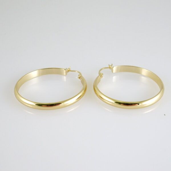 E2817 Earrings - Aretes - Zircon Stone - 14K Real Color