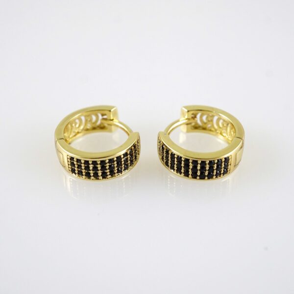 E2855 Earrings - Aretes - Zircon Stone - 14K Real Color