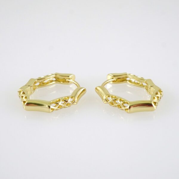 E2857 Earrings - Aretes - Zircon Stone - 14K Real Color