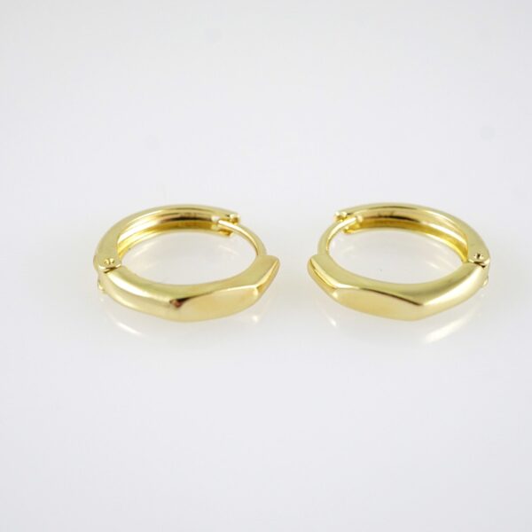 E2869 Earrings - Aretes - Zircon Stone - 14K Real Color