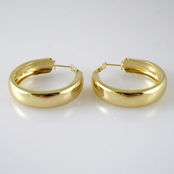 E2836 Earrings - Aretes - Zircon Stone - 14K Real Color