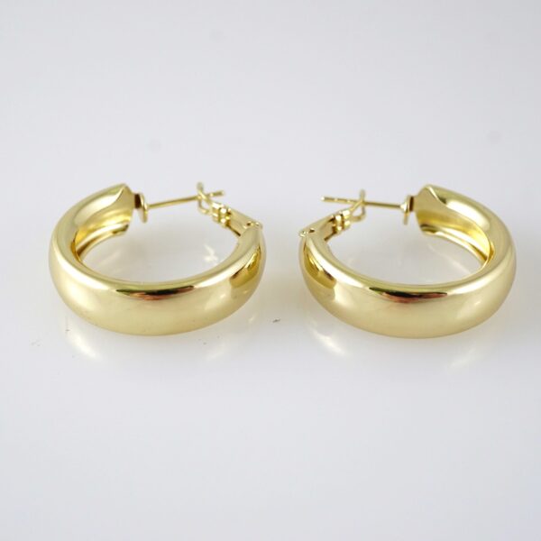 E2837 Earrings - Aretes - Zircon Stone - 14K Real Color