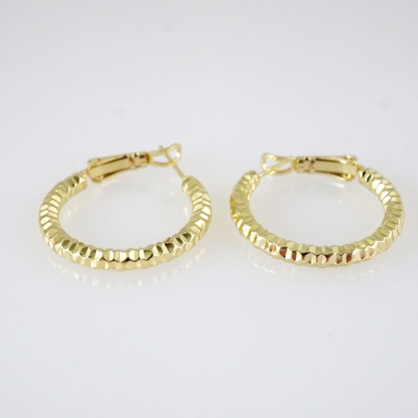E2880 Earrings - Aretes - Zircon Stone - 14K Real Color